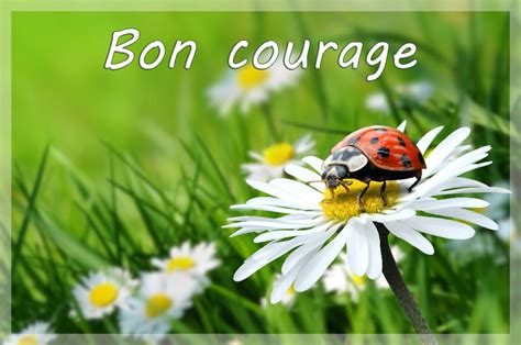 The courage to challenge being satisfied with one's achievements in light of even bigger future goals. Bon courage à mes élèves qui passent le Diplôme National ...