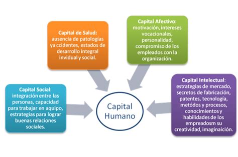 Capital Humano En Una Organizacion FunciÓn Del Capital Humano