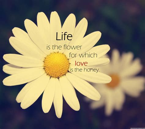 Quotes About Life Like A Flower 40 Quotes
