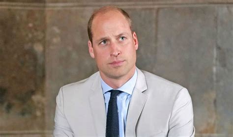 Prince William Breaks Silence On Investigation Into Princess Diana