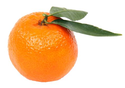Mandarin Png Image With Transparent Background Free Png Images