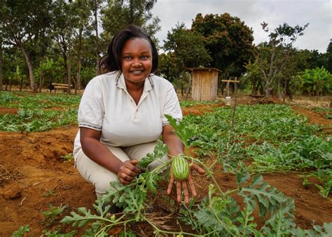 Kenyan Youth Discover A Promising Future In Farming Fao Stories