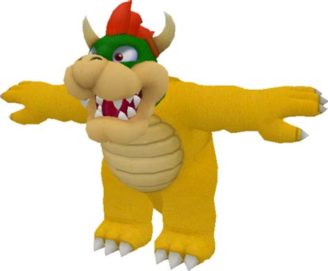 Bowser Front Bowser Bowser Costume Mario Characters