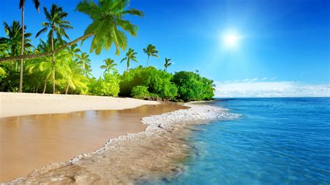 Download 3840x2160 Wallpaper Tropical Beach Sea Calm