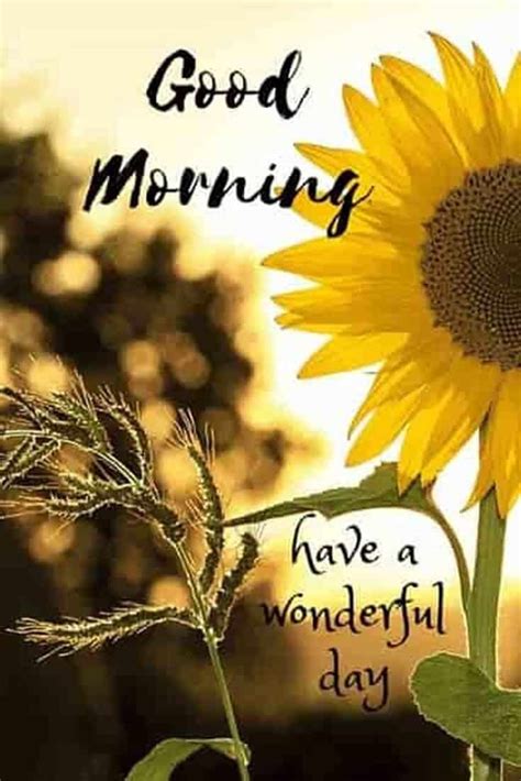 Need words of encouragement to write in a card? 67 Happy Morning Quotes & Sayings with Beautiful Images - ExplorePic