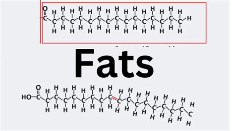 Intro To Saturated Fats Unsaturated Fats And Trans Fats Youtube