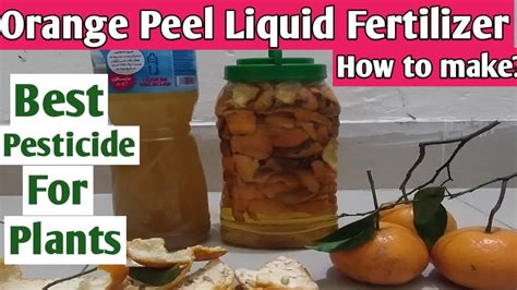 Pesticide From Orange Peel Liquid Fertilizer How To Make At