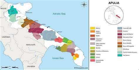 If you can't, then check out this nifty infographic with a detailed wine map of the country. Apulia Map of Vineyards Wine Regions