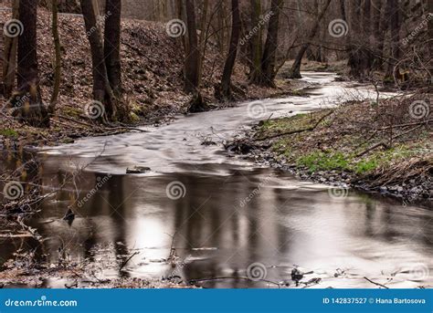 River With Blurry Water In Forest Stock Image Image Of Stone