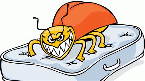 Cartoon Bed Bugs Pictures Bugs Tiny Head Itch Hair Human Fleas Making