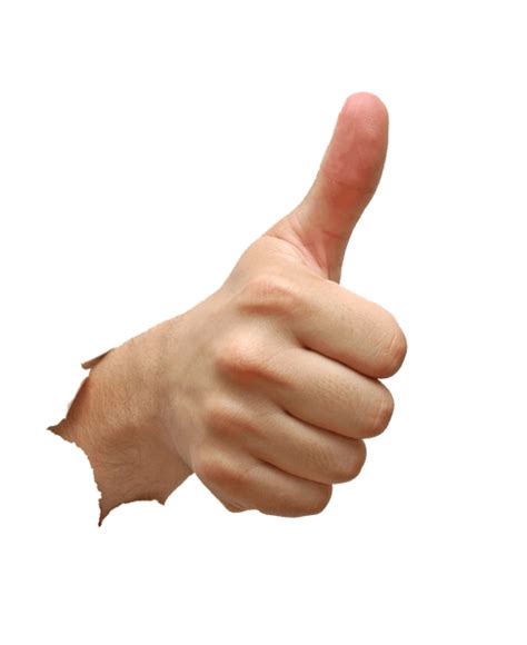 Thumb Hand Model Thumbs Up Down Png Download 486595 Free