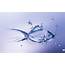 Water Wallpaper Download Desktop HD Wallpapers  Astrology