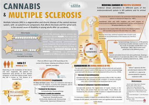 Guidelines from the international panel on the diagnosis of multiple sclerosis // annals of neurology: Cannabis & multiple sclerosis | Fundación CANNA ...