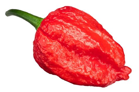 Top Hottest Peppers List Ranked By Scoville Grow Hot Peppers