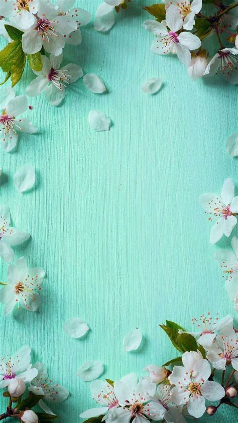 Pin By 𝐴𝑚𝑒𝑡ℎ𝑦𝑠𝑡 On Girly Iphone Wallpapers Flower Phone Wallpaper