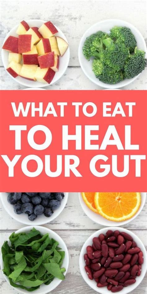 What To Eat To Heal Your Gut In 3 Days Gut Health Diet Diet And Nutrition Gut Health Recipes