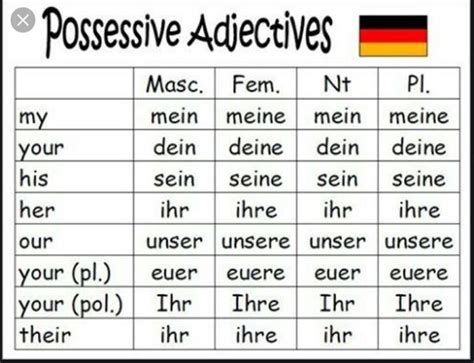 German Possessive Adjectives In The Accusative Diagram Quizlet