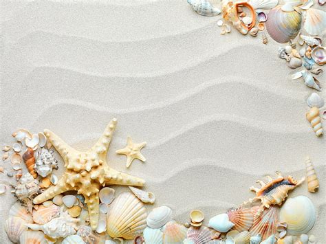 Starfish And Shell At The Beach Summer Beach Sand Shells Seashells