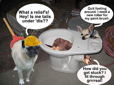 Many doctors use mri/pet and ct/pet hybrid scanners, which combines the two tools into a single scan. Twinkie Tiny Dog | Teacup Chihuahua | A Dog Blog: Jan 17, 2011