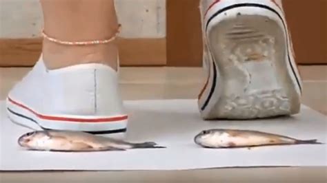 Models Crushing Small Fish In Cruel Fetish Video Raise Ire In St
