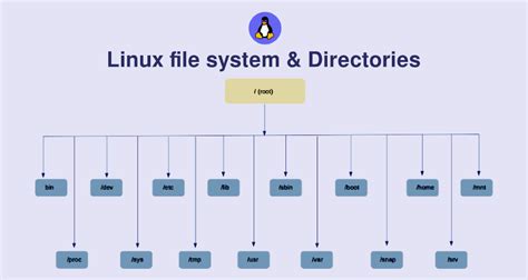 Explained Linux File System And Directory Structure Tracemycode