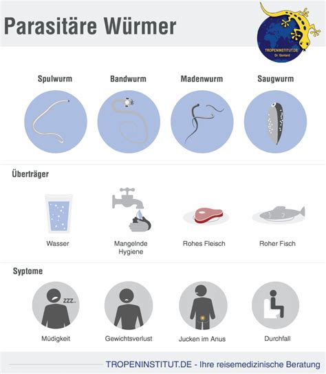Ein parasit ist ein organismus, der sich von anderen lebewesen ernährt oder diese zu fortpflanzungszwecken befällt.er kann den wirt schädigen, indem er seine organfunktionen beeinträchtigt, zellen zerstört und ihm wichtige nährstoffe entzieht. Tropeninstitut - Reisekrankheiten - Medinawurm
