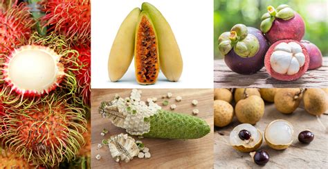 5 Exotic Fruits You Need To Try