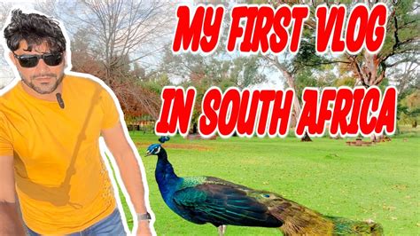 My First Vlog In South Africa South Africa Vlog Youtube