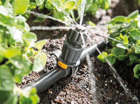 The Best Options For Automatic Plant Watering System Hort Zone