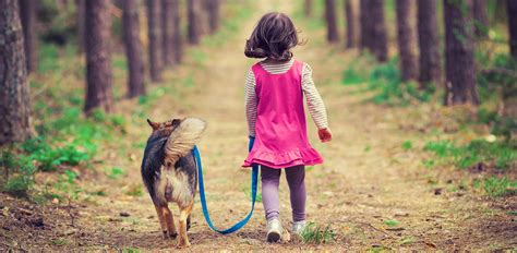 Top 5 Reasons To Take Your Dog For A Walk Rescue Dogs 101