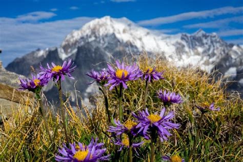 Trekking Alps Mountain Hiking Tours In Italy With A Local Guide