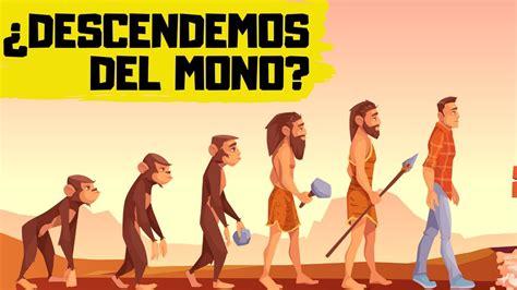 🐒teorÍa De La EvoluciÓn De Darwin ExplicaciÓn RÁpida Y Sencilla Youtube
