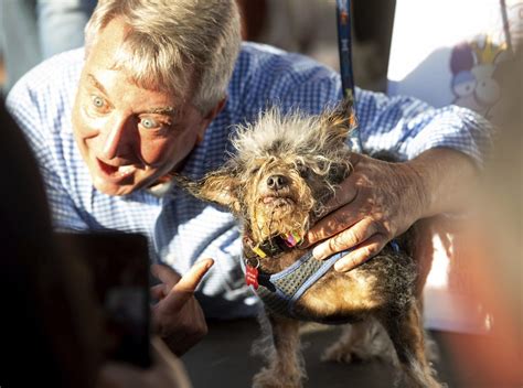 Scamp The Tramp Wins Worlds Ugliest Dog Contest Wtop News