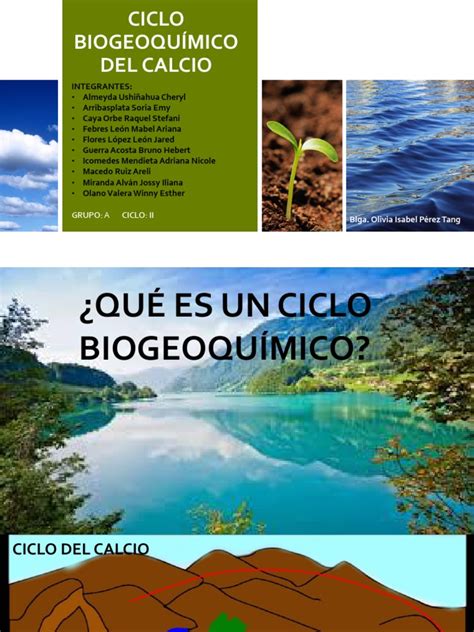 Ciclo Biogeoquímico Del Calcio Ciencias De La Tierra Y De La Vida