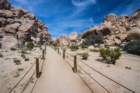 Best Joshua Tree Hikes For First Time Visitors