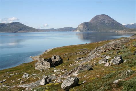 Walrus Bones Provide Clues To Fate Of Lost Viking Colony