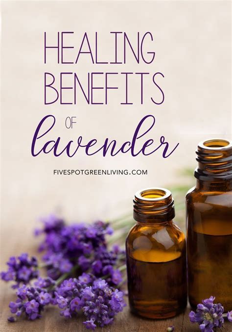 Healing Benefits Of Lavender Lavender Benefits Healing Herbal Remedies