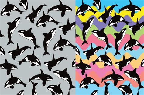 1 Orca Pattern Designs And Graphics