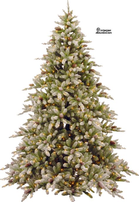 Christmas Tree PNG Pic PNG All PNG All