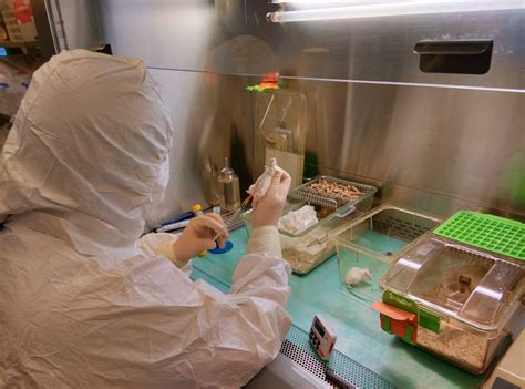 Testing of control cells does not always eliminate the need for testing final product (see section animal donors should be screened and tested by applying similar concepts, and should be in you must characterize the in vitro growth characteristics (e.g., suspension or monolayer cultures, rate of. U18. Nanotoxicology Unit | Nanbiosis