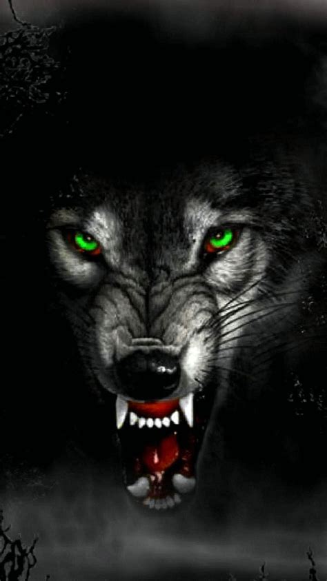 Angry Wolf Wallpapers Hd For Mobile Wolf Wallpaperspro