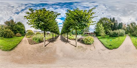 Aber auch der öffentlichkeit bietet der botanische garten die möglichkeit, die einzigartige vielfalt von einheimischen und exotischen pflanzen zu. Botanischer Garten Mainz - Botanischer Garten