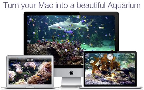 Aquarium Live Hd Screensaver App Price Drops