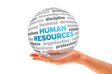 City Colleges Of Chicago Human Resources