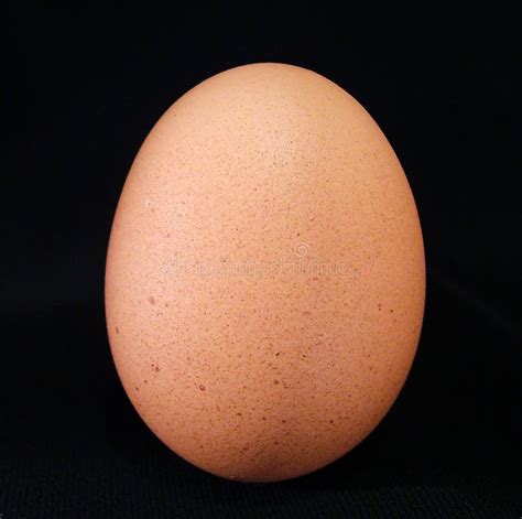 A Brown Egg Stock Photo Image Of Breakfast Food Ingredient 87096
