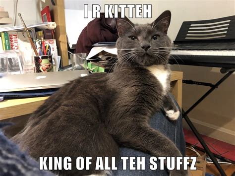 I R KITTEH KING OF ALL TEH STUFFZ Lolcats Lol Cat Memes Funny