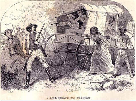 Illustrations Of Enslaved Resistance Slave Stampedes On The Missouri Borderlands
