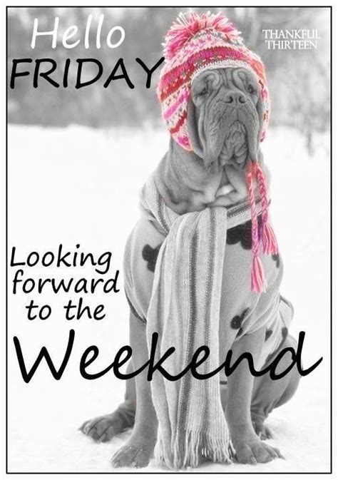 Hello Friday Looking Forward To The Weekend Pictures Photos And