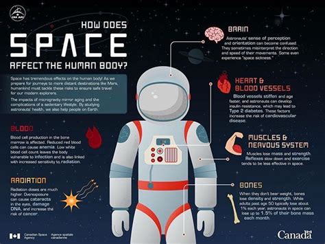 Living In Space Has Significant Effects On The Human Body As We