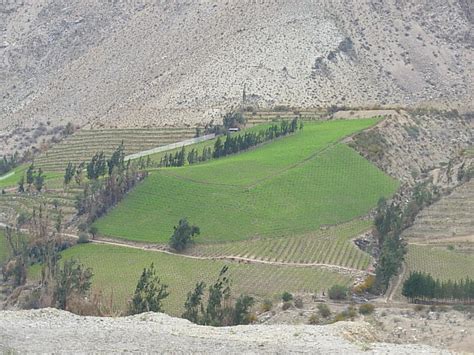 Check out our chile de monte selection for the very best in unique or custom, handmade pieces from our garden there are 135 chile de monte for sale on etsy, and they cost $17.60 on average. Foto de Monte Grande, Chile